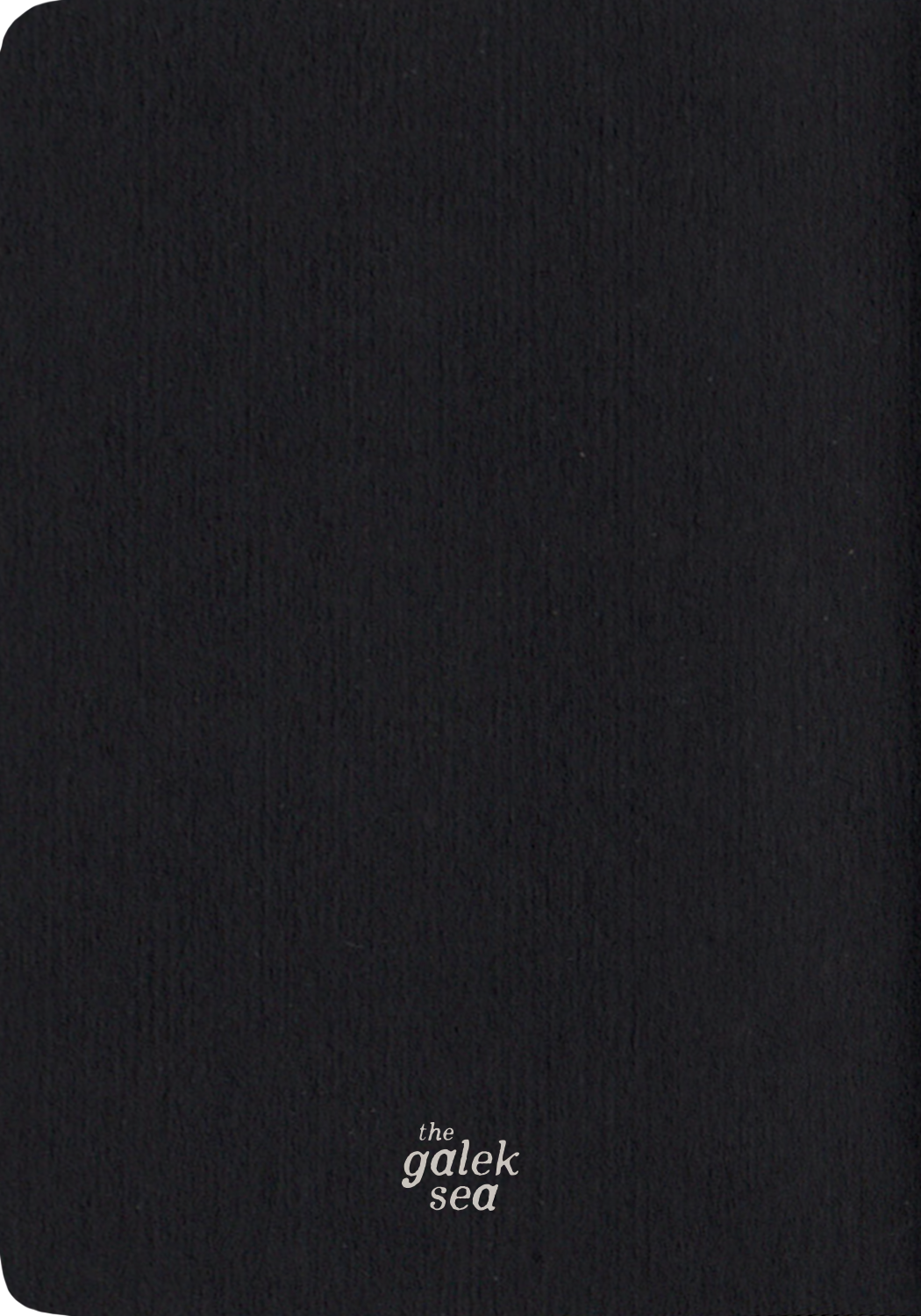 Snakes Under A Moon Phase - Pocket Notebooks (5 Pack)