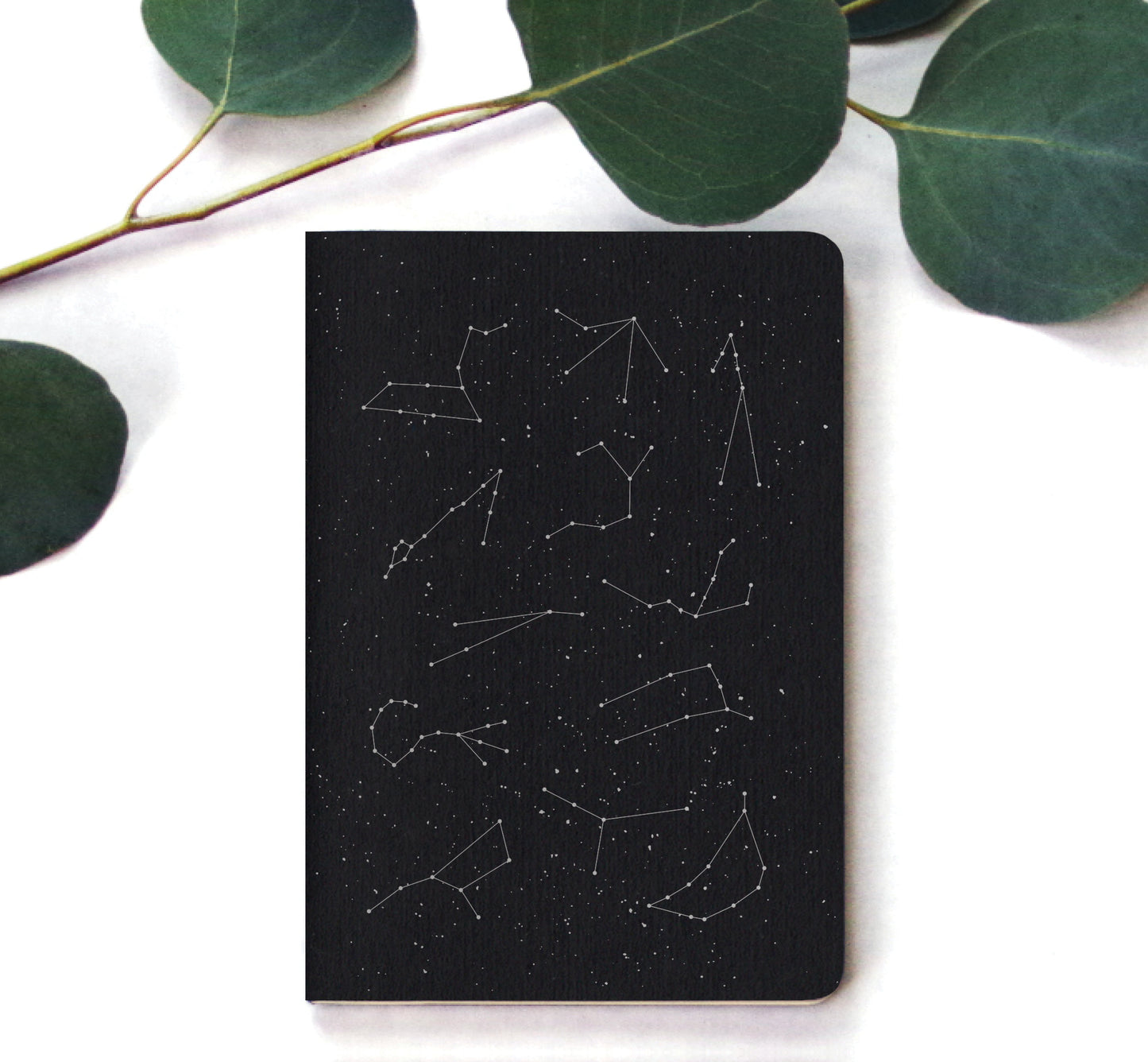 Constellations - Pocket Notebooks (5 Pack)