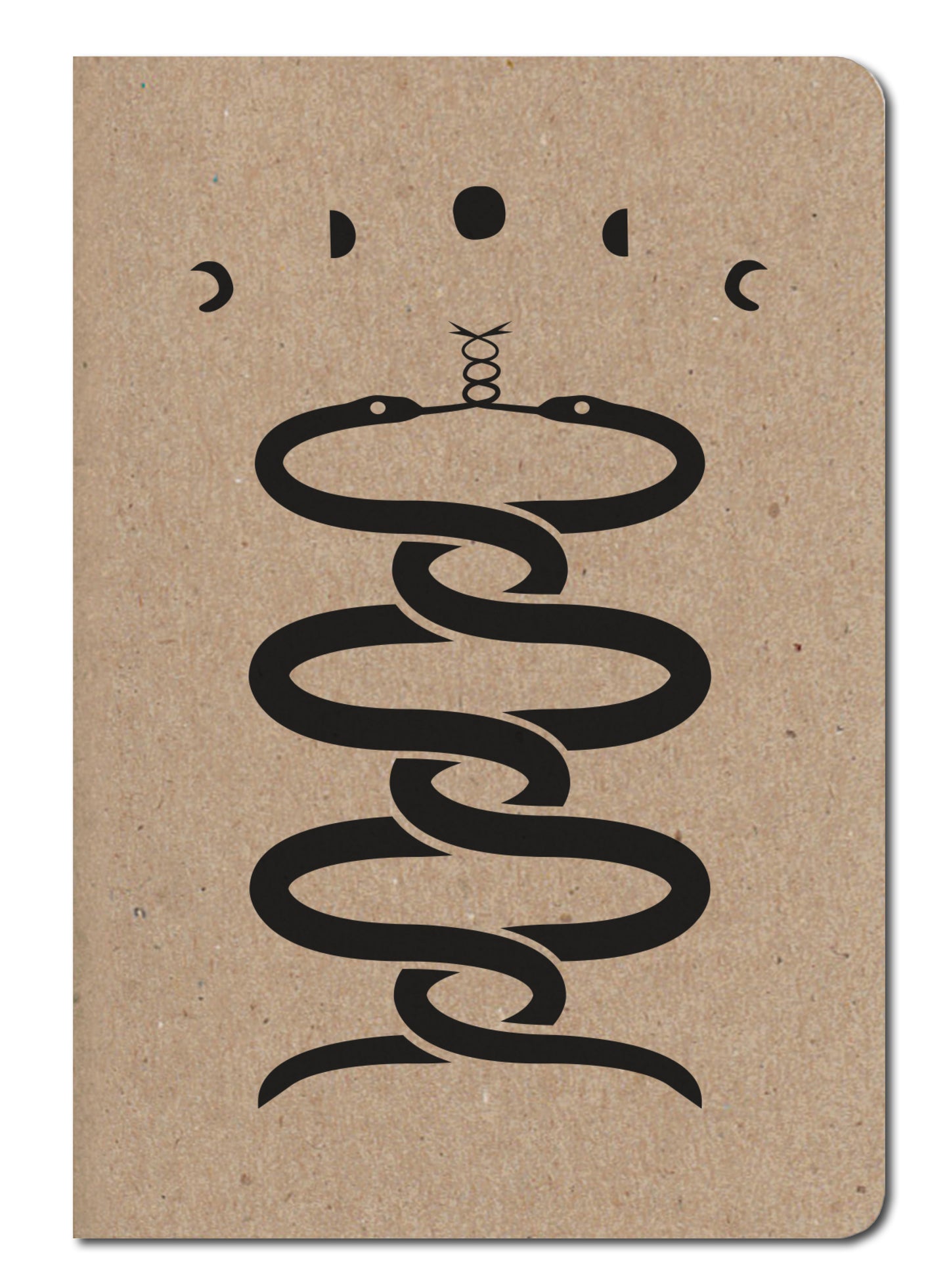 Snakes Under A Moon Phase - Pocket Notebooks (5 Pack)