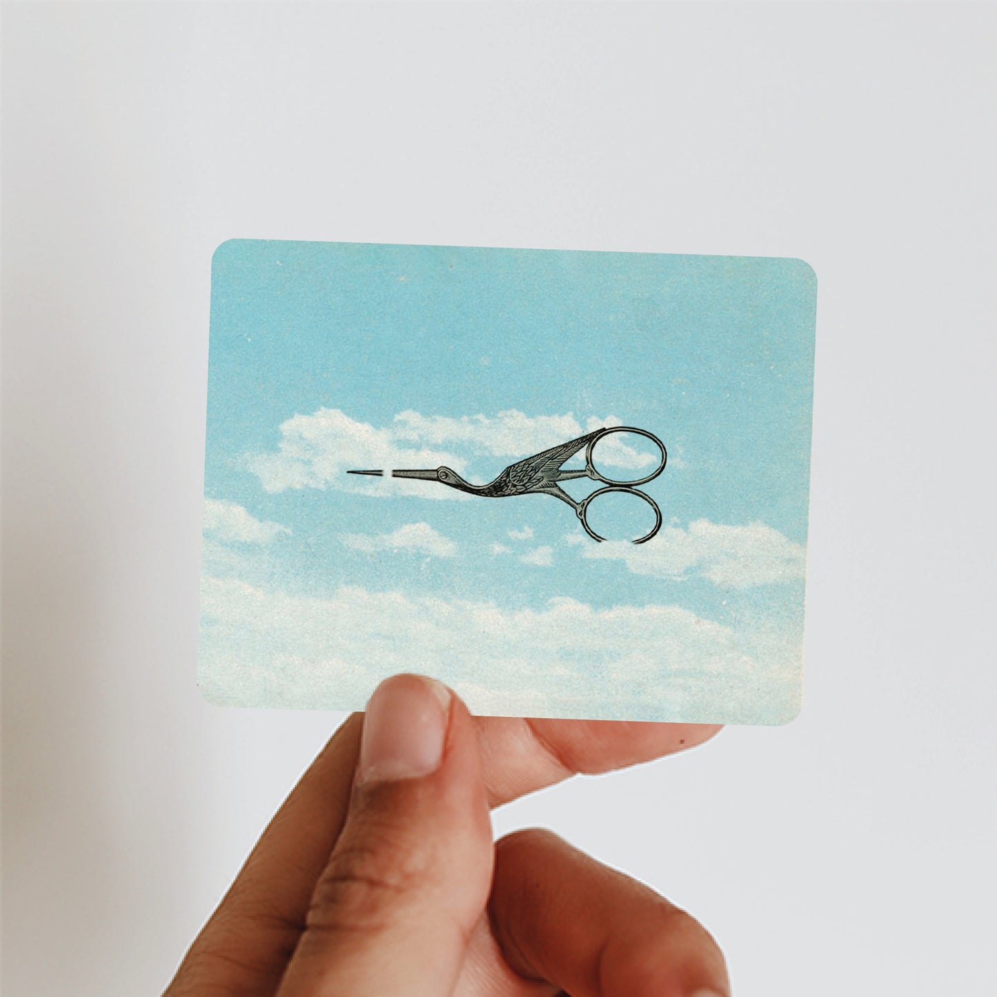Bird Scissors - Sticker