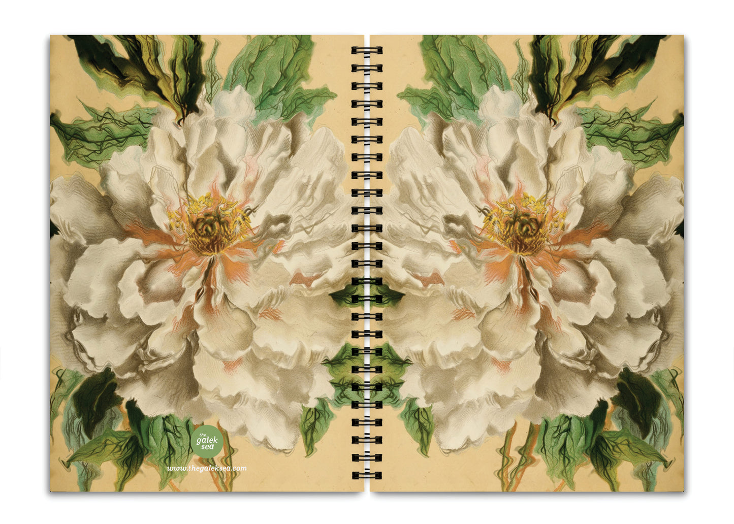 Peony - Notebook