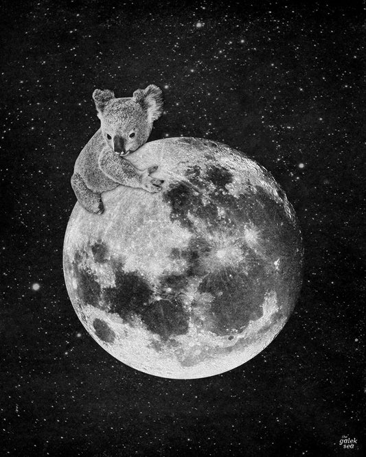 Koala & Moon - Vintage Collage Art Print