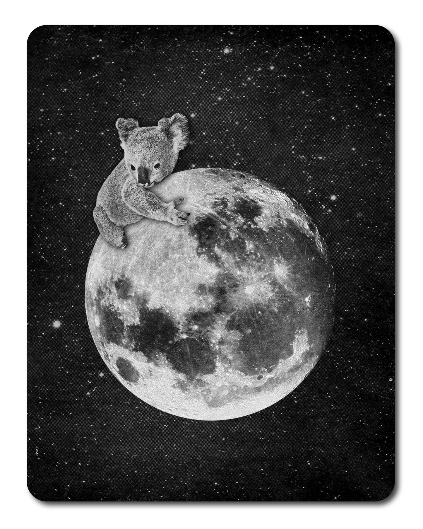Koala & Moon - Sticker