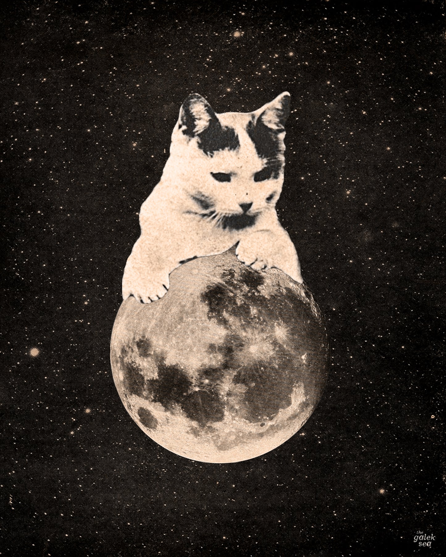 Mooncat #2 - Vintage Collage Art Print