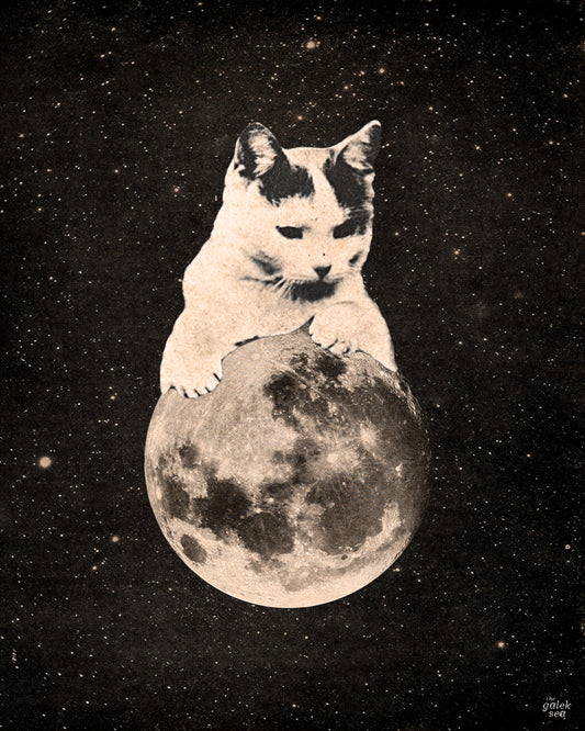Mooncat #2 - Vintage Collage Art Print