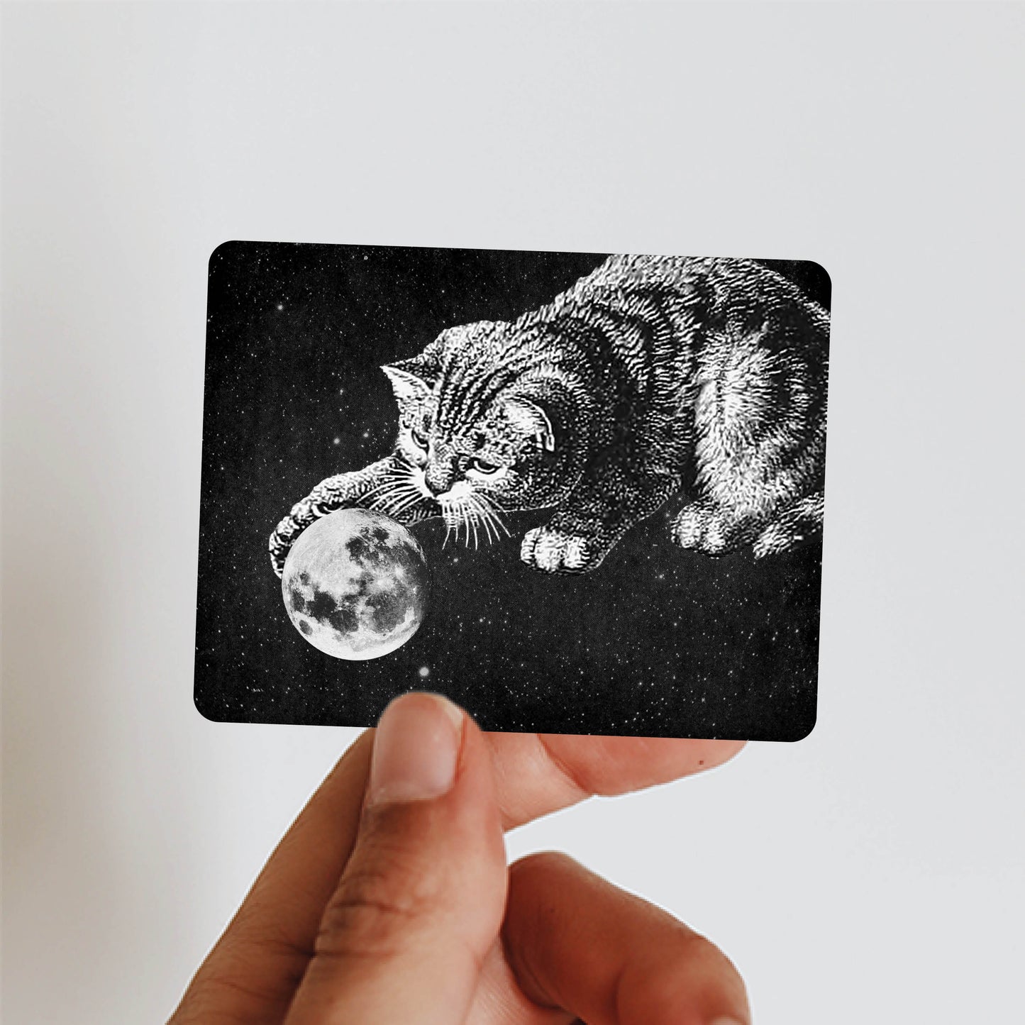 Mooncat - Sticker