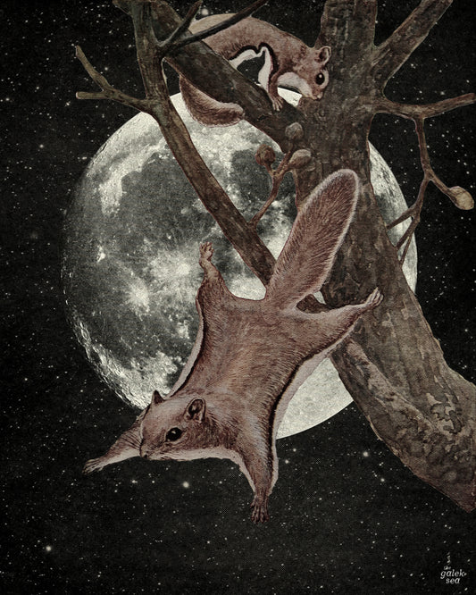 Squirrel Away - Vintage Collage Art Print