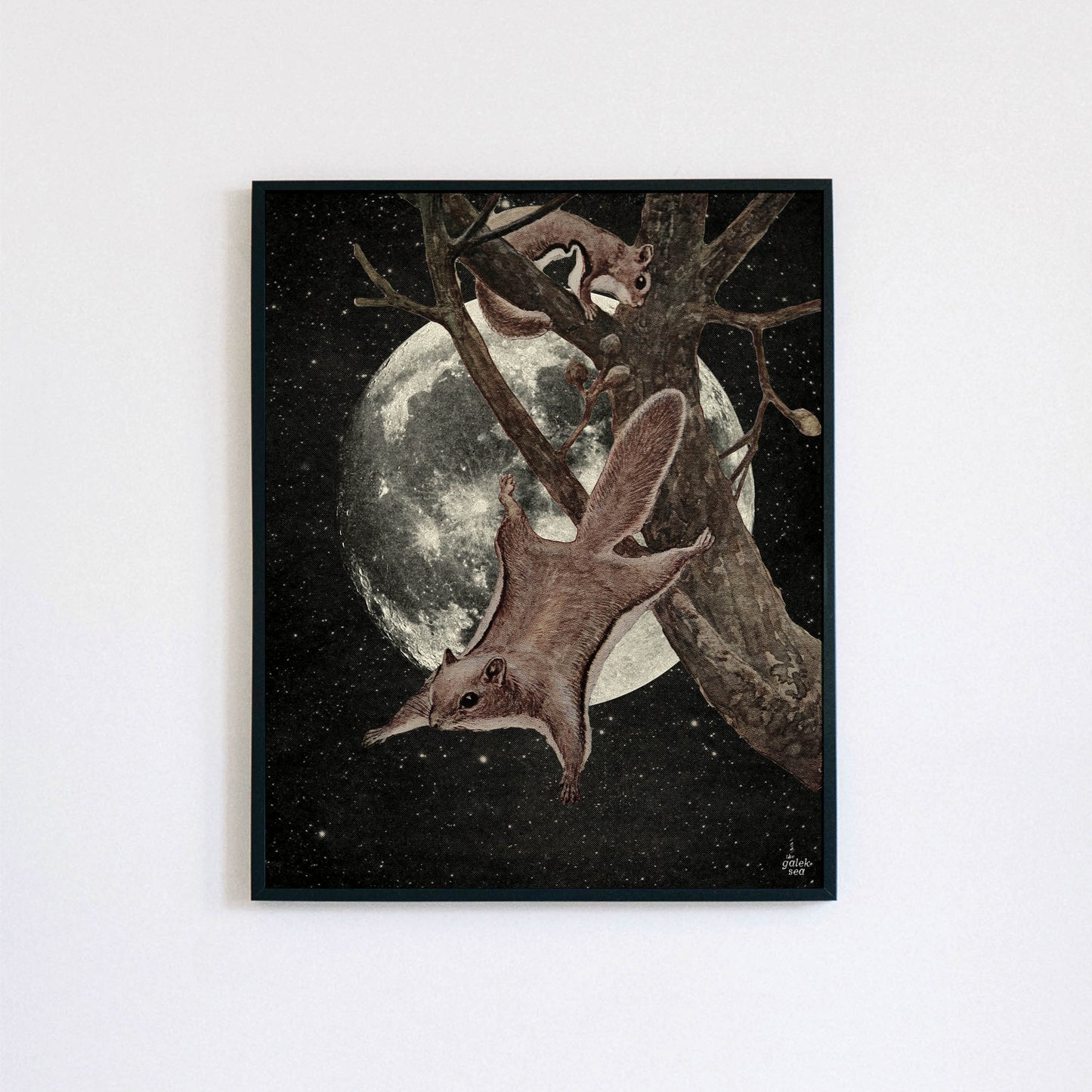 Squirrel Away - Vintage Collage Art Print