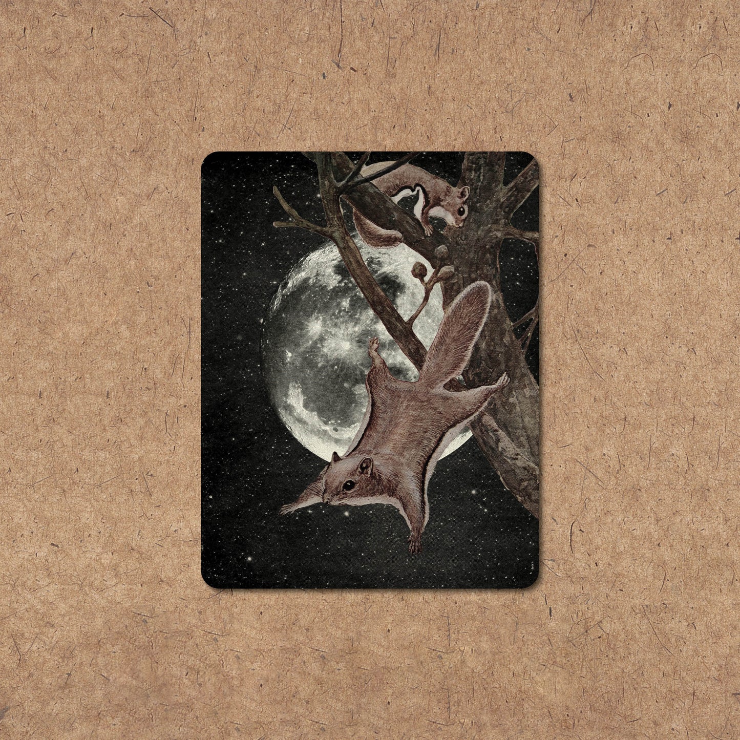 Squirrel Away - Sticker