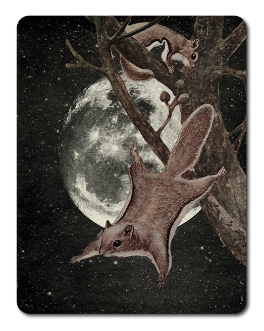 Squirrel Away - Sticker