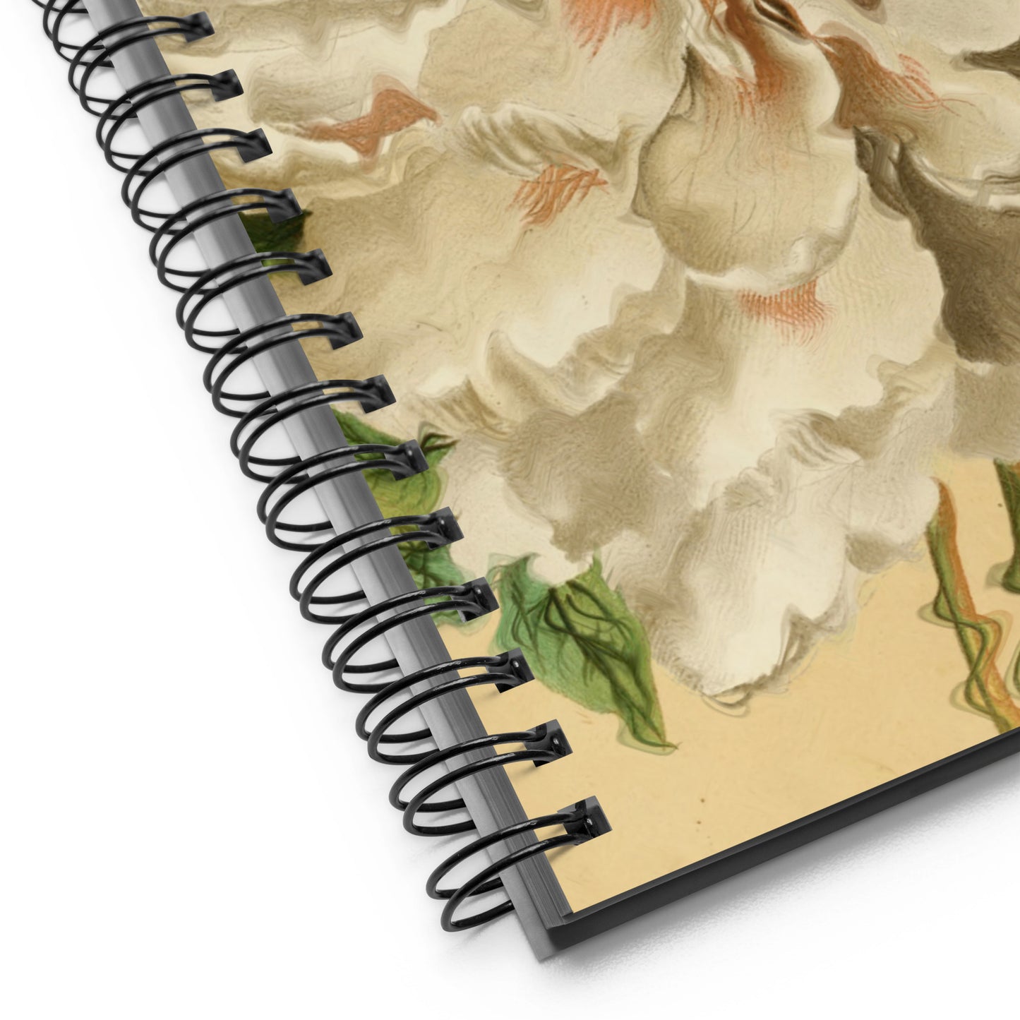 Peony - Notebook